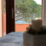 Zuccale 7 *